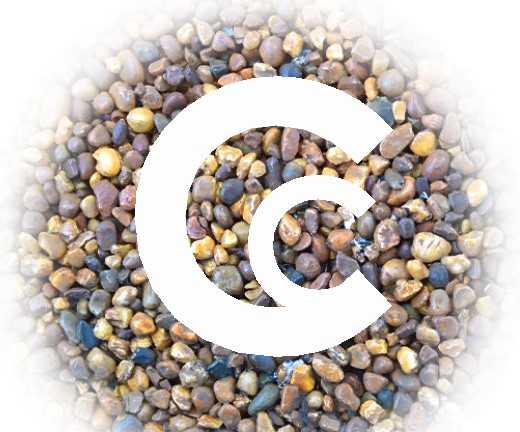 Curious Cub Logo